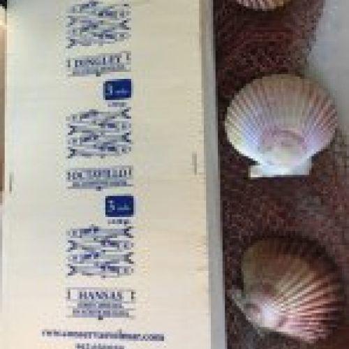 caja hansa 2